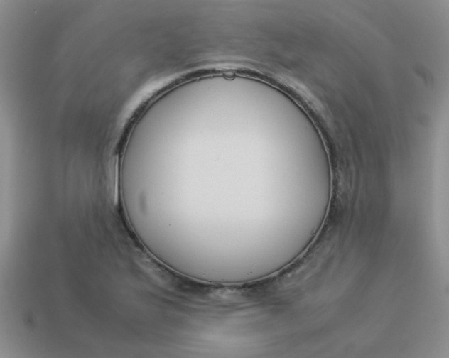 X0000113891175200910151328