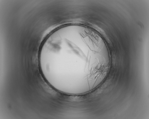 X0000113891176200910151328