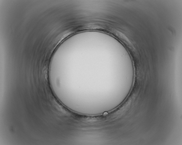 X0000113891177200910151328