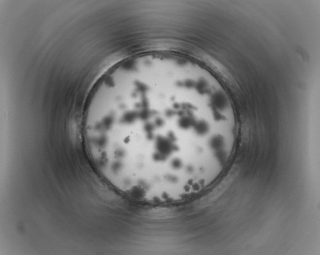 X0000113891178200910151328