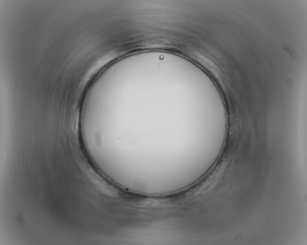 X0000113891179200910151328