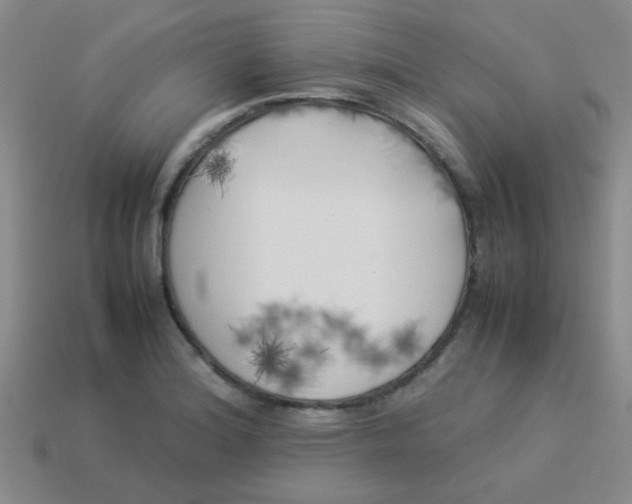 X0000113891180200910151328