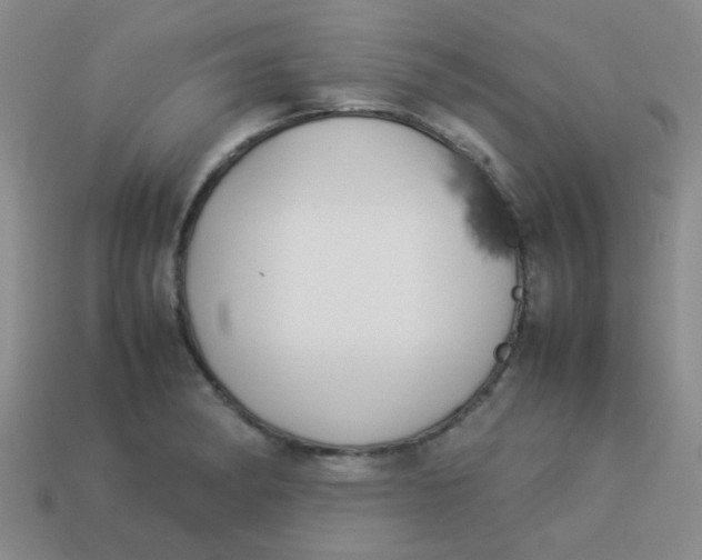 X0000113891182200910151328