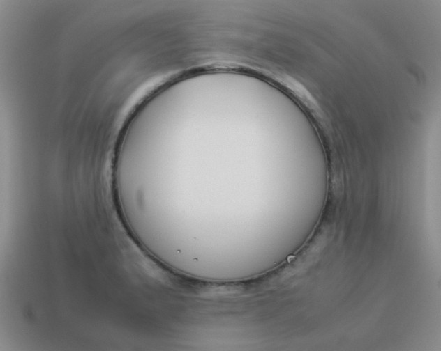 X0000113891183200910151328