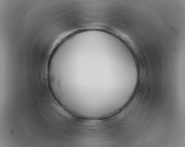 X0000113891184200910151328