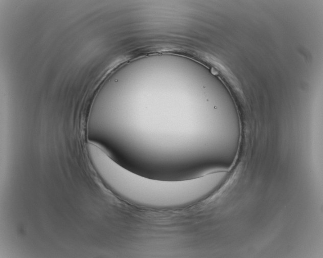 X0000113891185200910151328