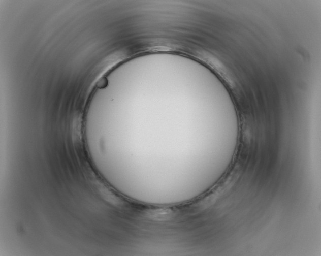 X0000113891186200910151328