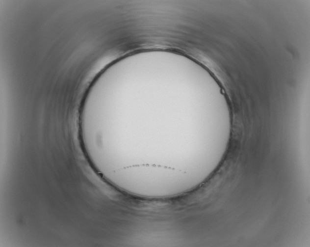 X0000113891187200910151328