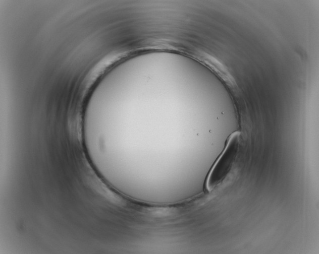 X0000113891188200910151328