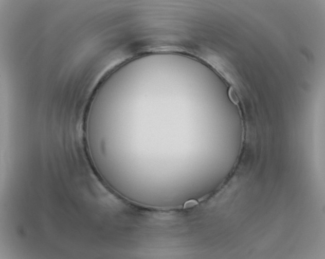 X0000113891189200910151328