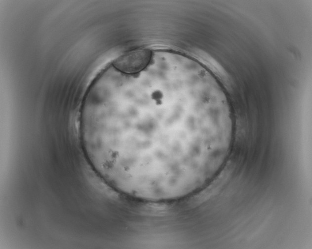 X0000113891190200910151328