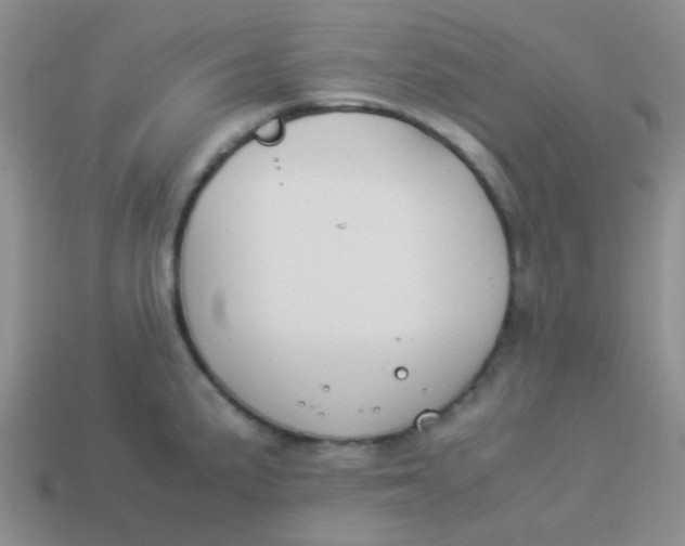 X0000113891191200910151328