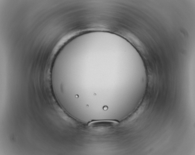 X0000113891192200910151328