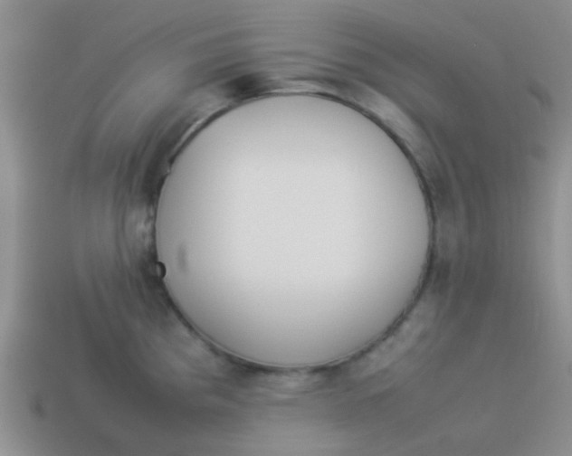 X0000113891193200910151328