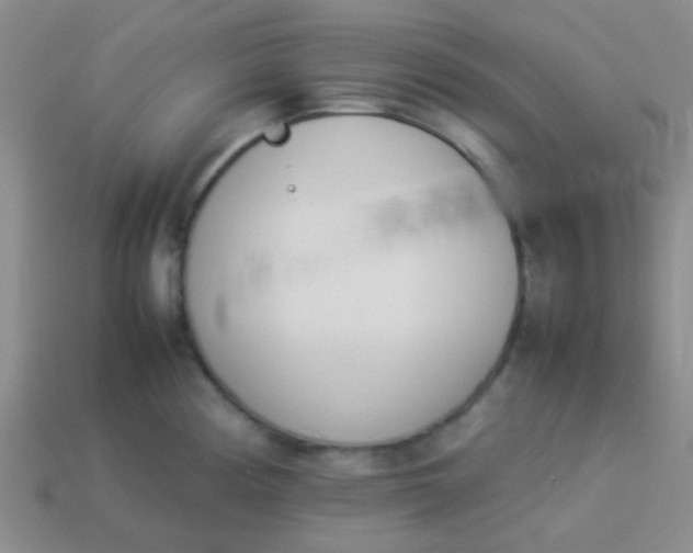 X0000113891194200910151328