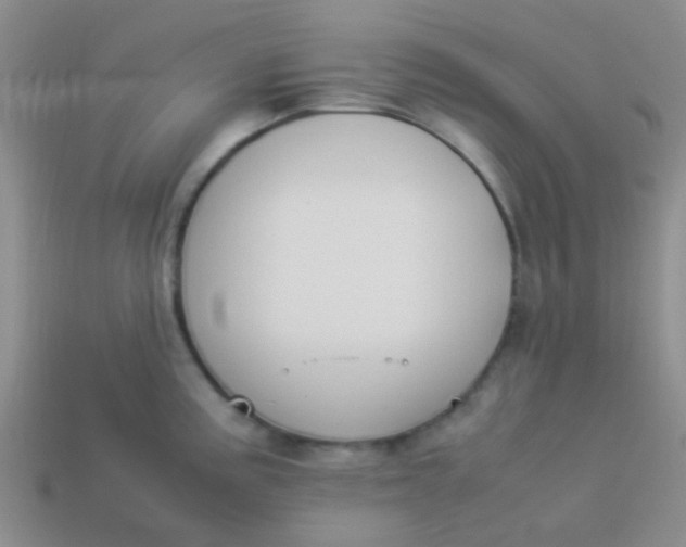 X0000113891195200910151328