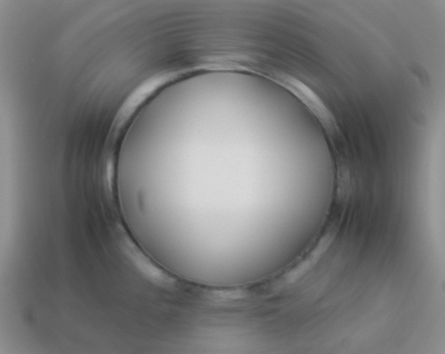 X0000113891196200910151328