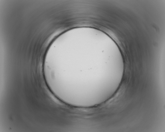 X0000113891197200910151328