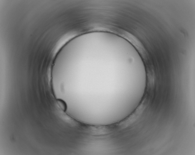 X0000113891198200910151328