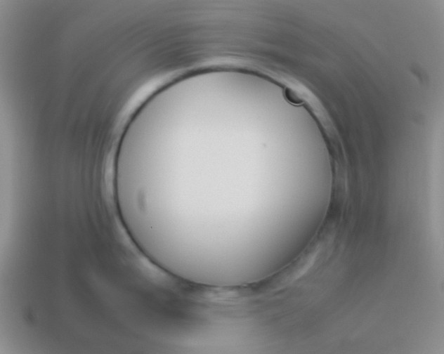 X0000113891199200910151328