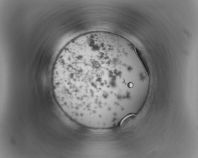 X0000113891200200910151328