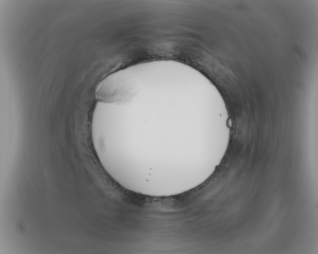 X0000113891201200910151327