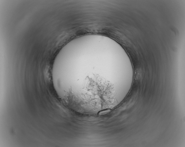 X0000113891202200910151327