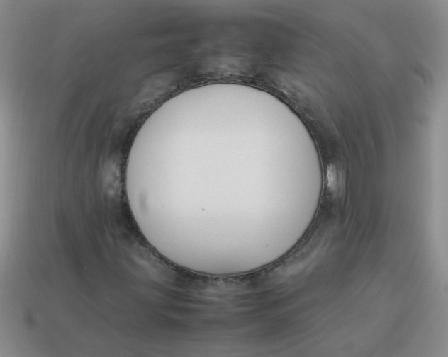 X0000113891203200910151327