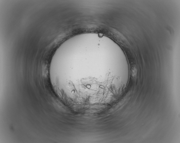 X0000113891204200910151327