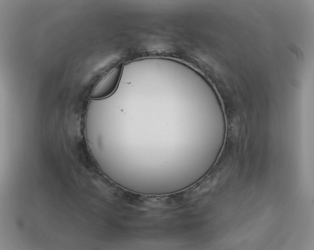 X0000113891205200910151327