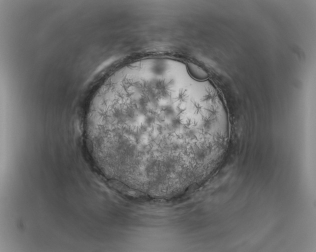 X0000113891206200910151327