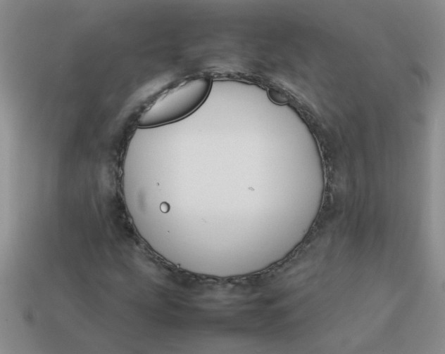 X0000113891207200910151327