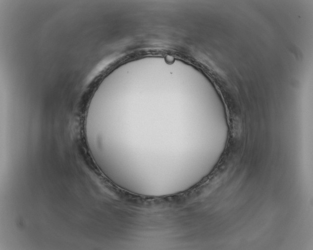 X0000113891208200910151327