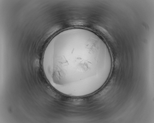 X0000113891209200910151327