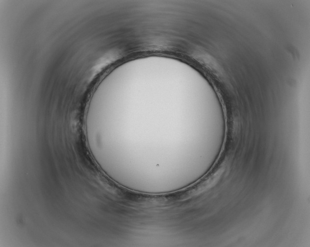 X0000113891210200910151327