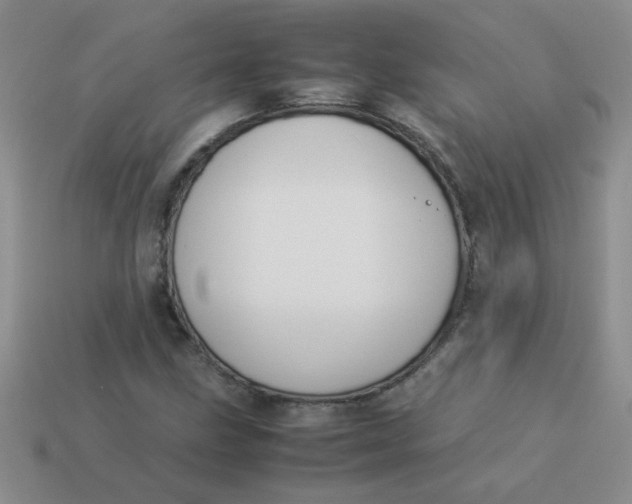 X0000113891211200910151327