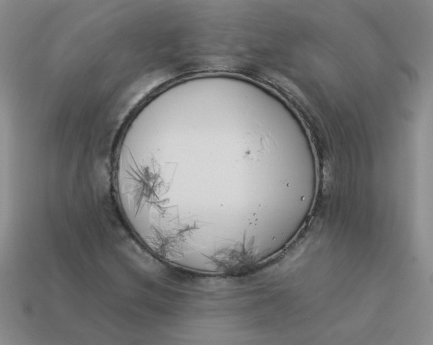 X0000113891212200910151327