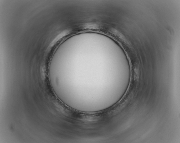 X0000113891213200910151327