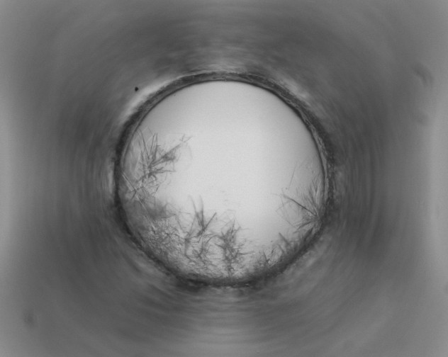 X0000113891214200910151327