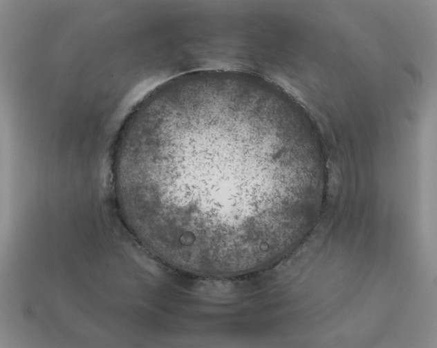 X0000113891215200910151327