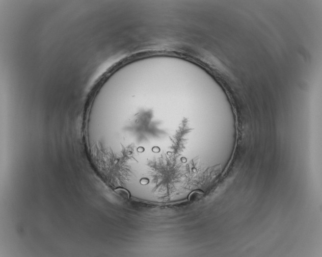 X0000113891216200910151327