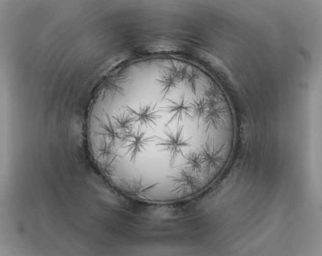 X0000113891217200910151327