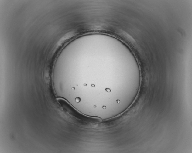 X0000113891218200910151327