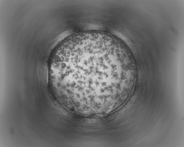 X0000113891219200910151327