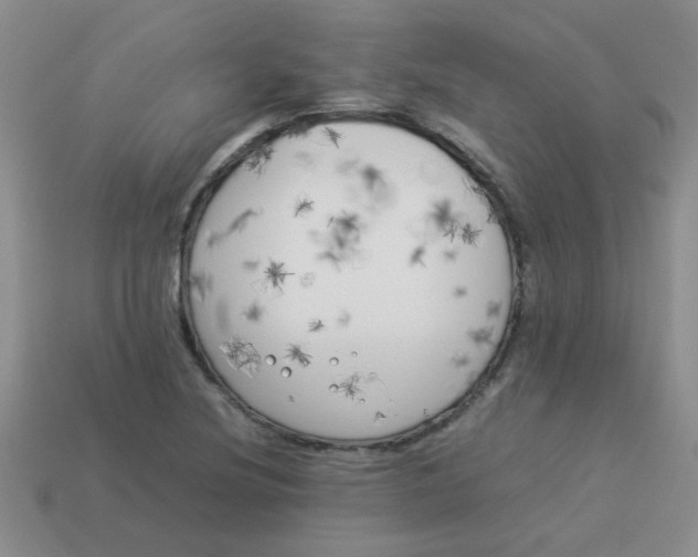 X0000113891220200910151327