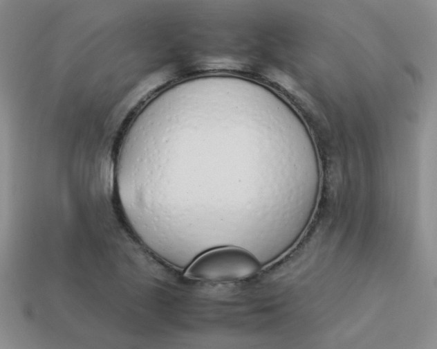 X0000113891221200910151327