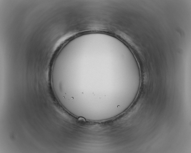 X0000113891222200910151327