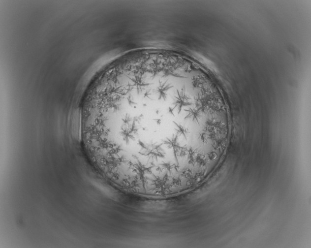 X0000113891223200910151327