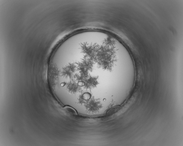 X0000113891224200910151327