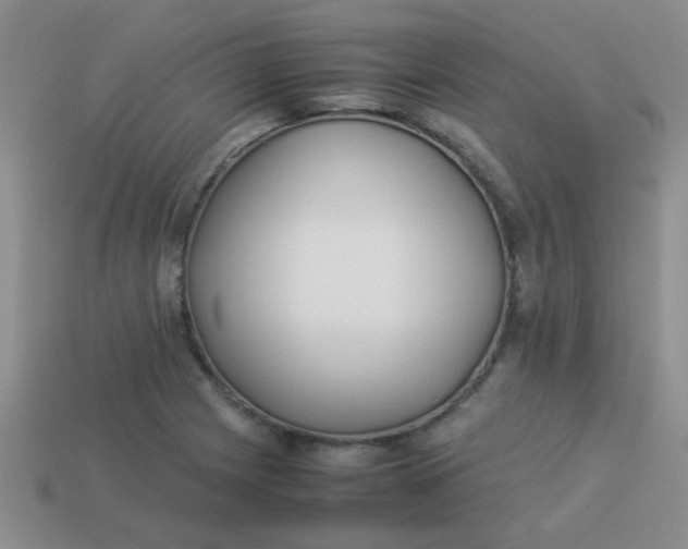 X0000113891225200910151327